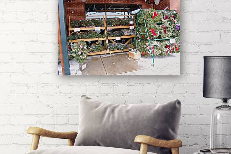 Christmas decorations for sale Wellesley Massachu by Ross Sharp