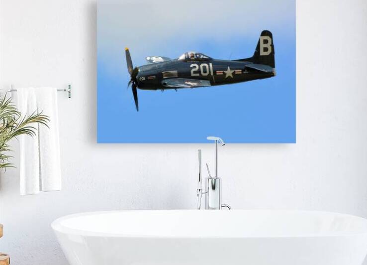 Grumman F8F Bearcat fast pass by Ross Sharp