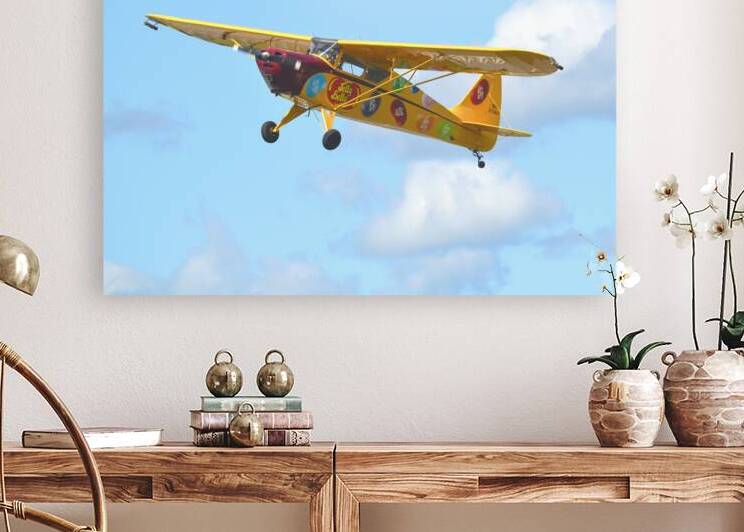 Interstate Cadet Jelly Belly by Ross Sharp