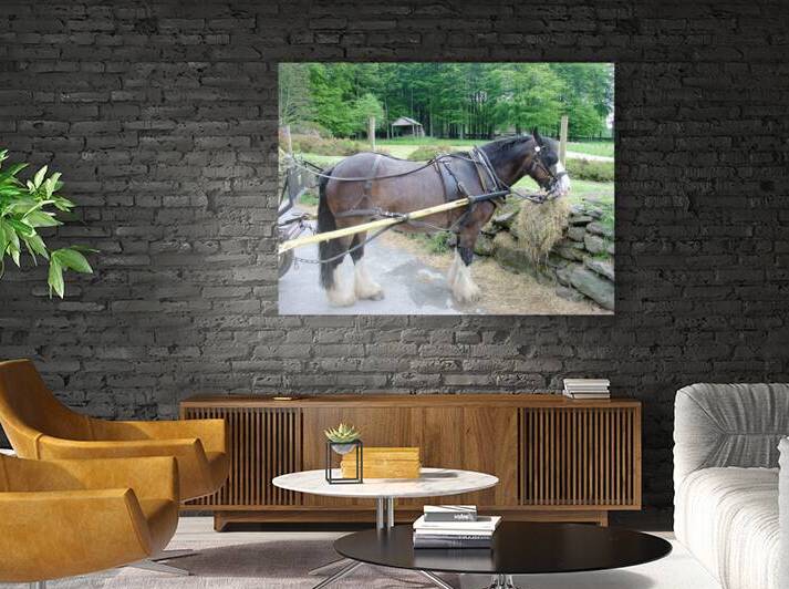  Horse and waggon St Fagans National Museum of History Wales by Ross Sharp