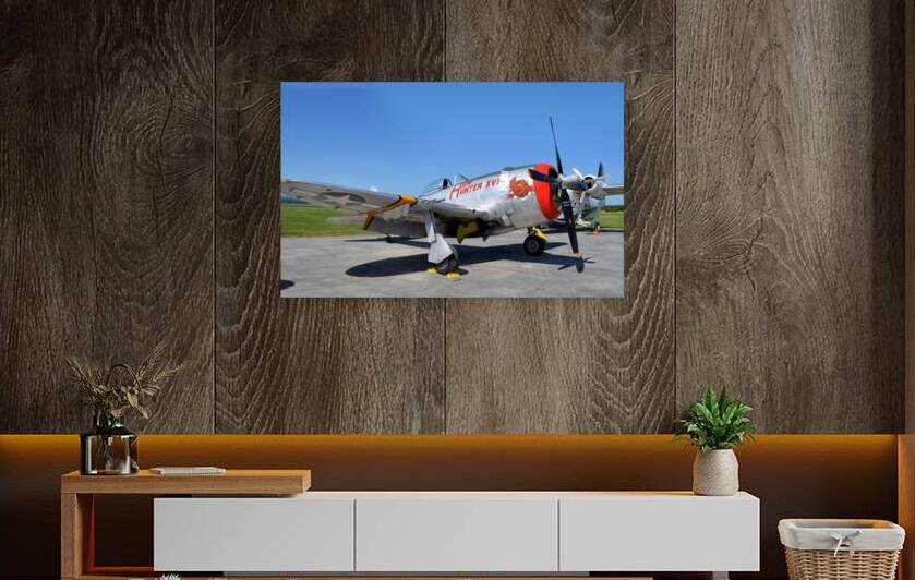 P-47D Hun Hunter XVI nose by Ross Sharp