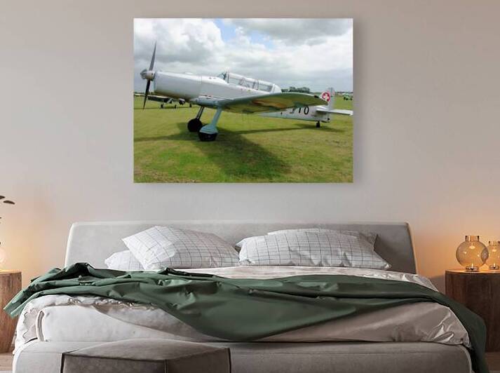 Pilatus P.2 by Ross Sharp