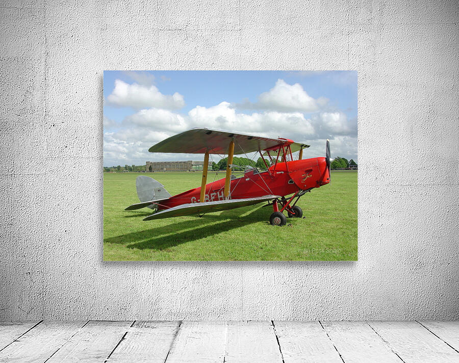 DH82a Tiger Moth Wall Preview