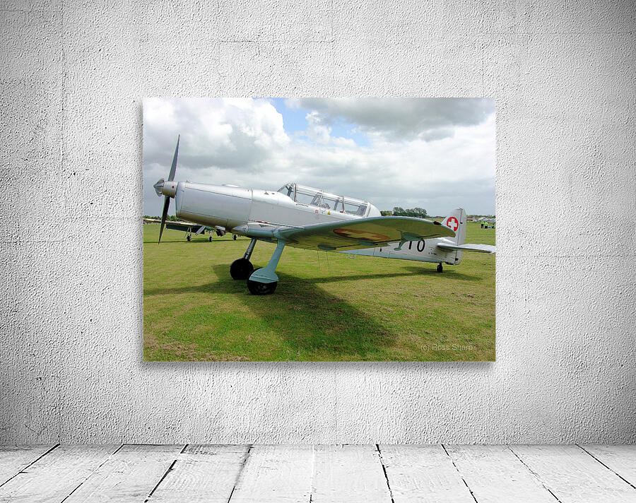 Pilatus P.2 Wall Preview