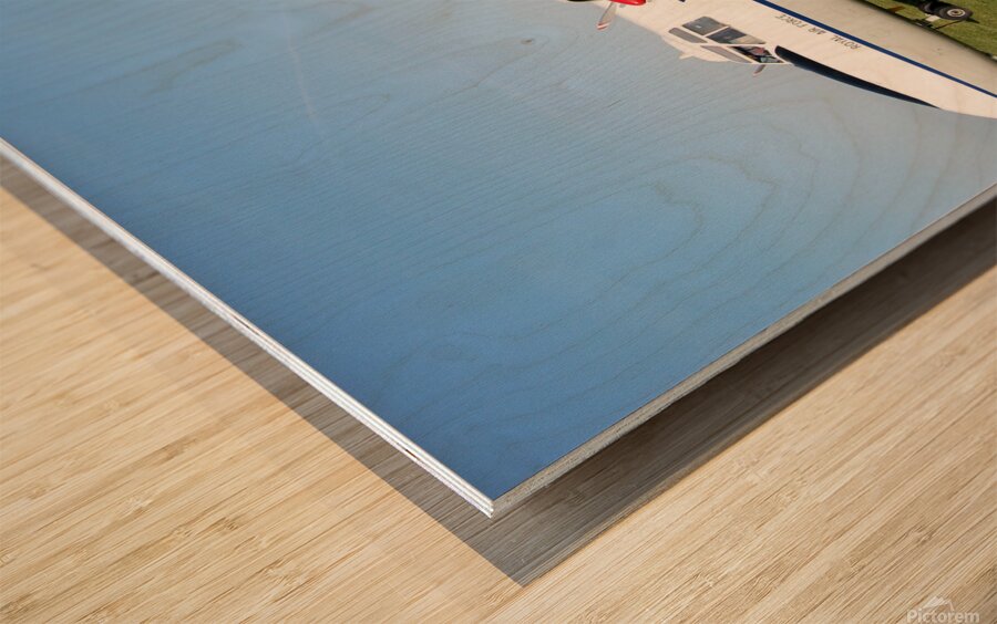 Percival Pembroke Wood print