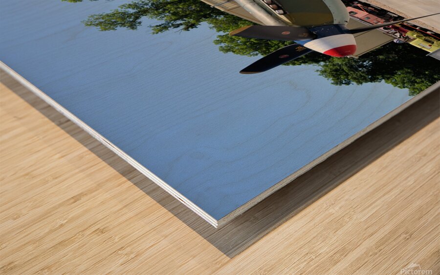 Yakovlev 9UM Wood print