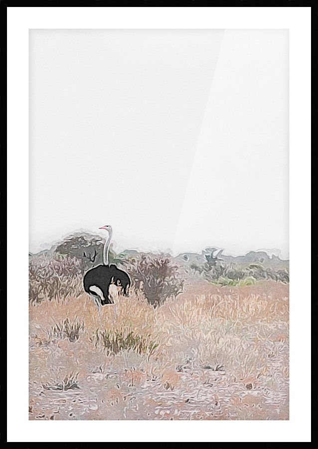 Ostrich II Picture Frame print