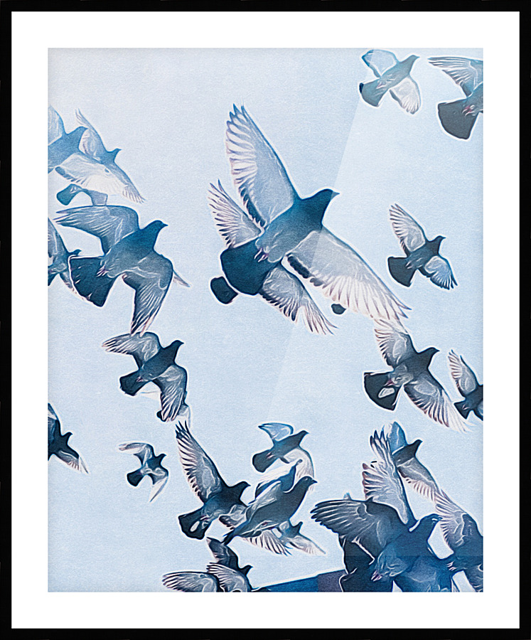 Flight III Picture Frame print