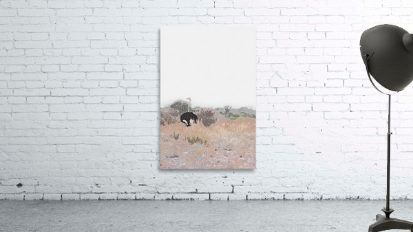 Ostrich II Wall Preview