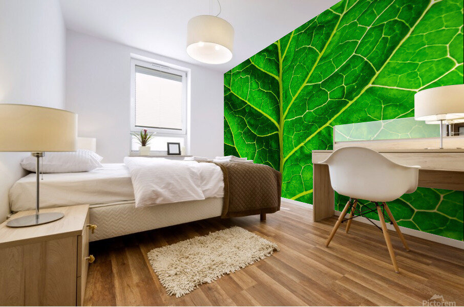 Green leaf Mural print