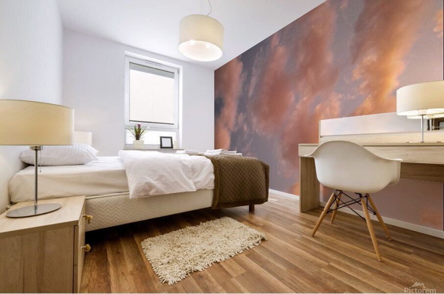 Pink sky Mural print