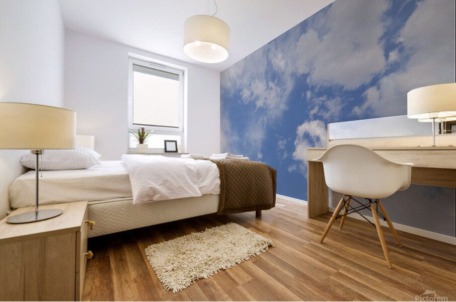 Blue sky Mural print
