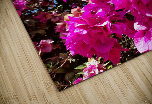  Pink flower Rayanne Alves puzzle