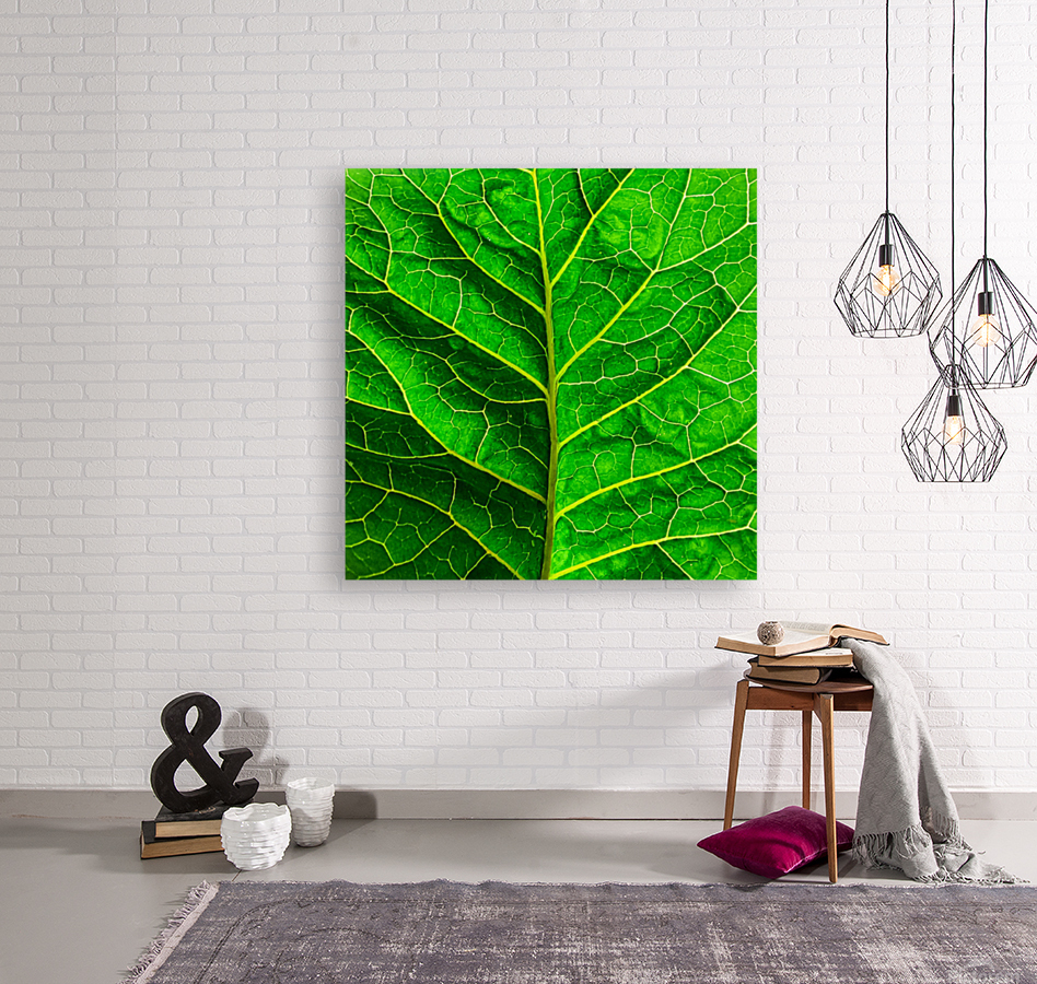 Green leaf Reproduction
