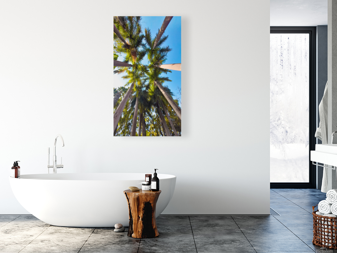 coconut trees Reproduction