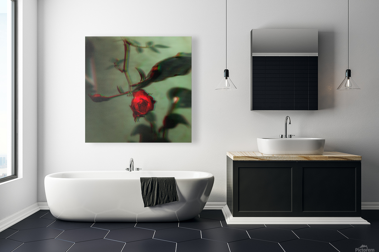 the Rose Reproduction