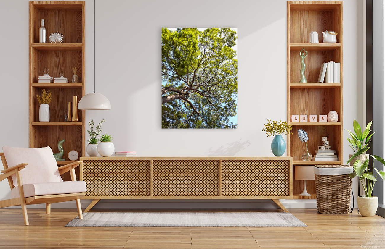 tree tops Reproduction