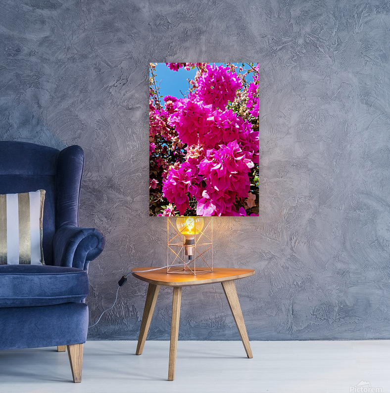  Pink flower Reproduction