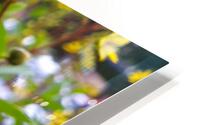 yellow flower HD Metal print