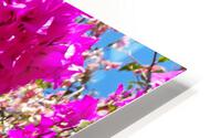 Pink flower HD Metal print