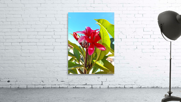 Pink flowers Wall Preview