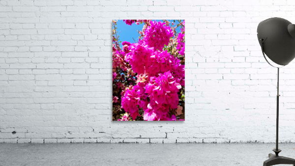  Pink flower Wall Preview
