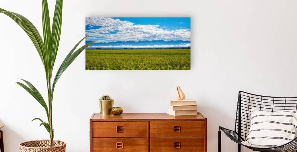 Wildflower Field - Outside Glacier NP by UpgradeComplete