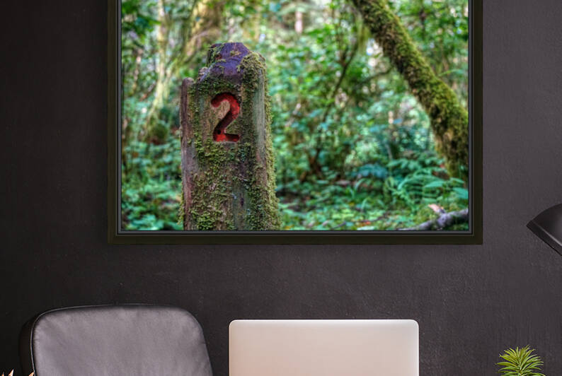 Cascade Head Trail Marker - Oregon by UpgradeComplete
