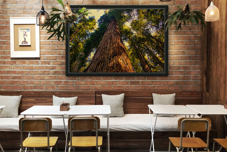 California Redwood by UpgradeComplete