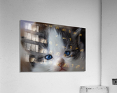 Kitten Face Acrylic Print
