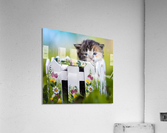 Kitten in basket Acrylic Print