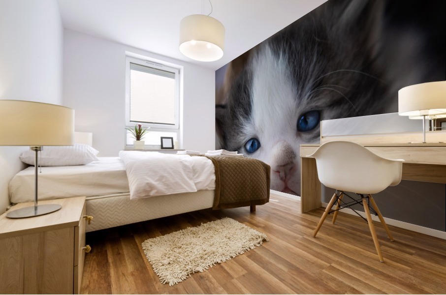 Kitten Face Mural print