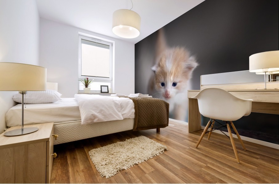 Orange Kitten Mural print