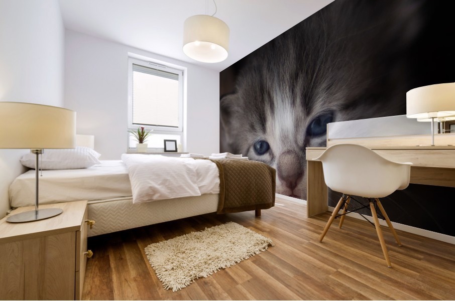 Kitten Face Mural print