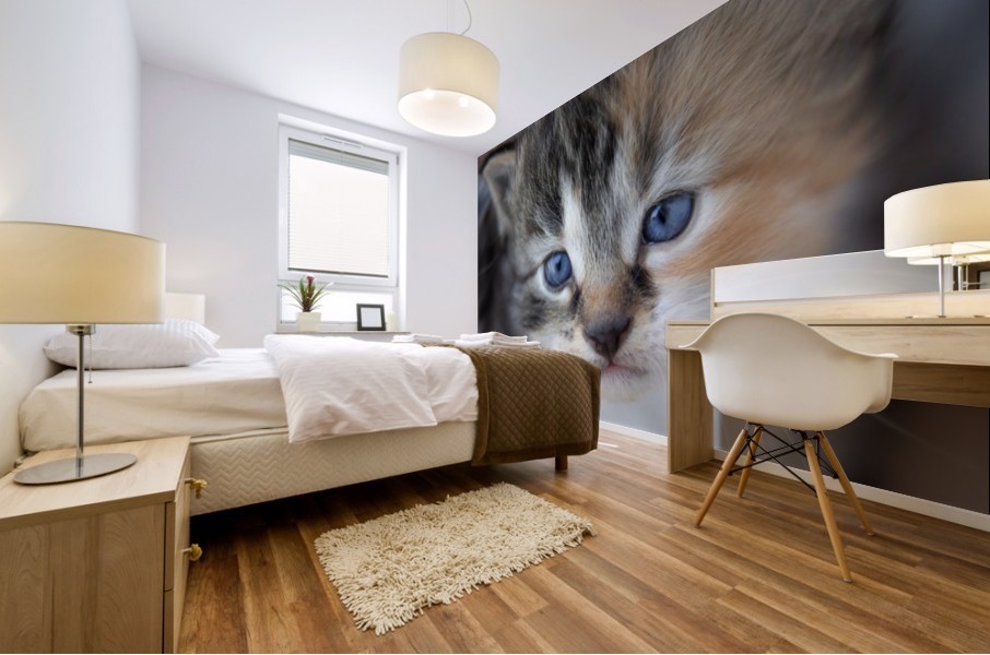 Kitten Face Mural print