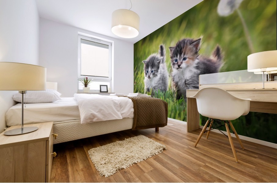 Two kittens Mural print