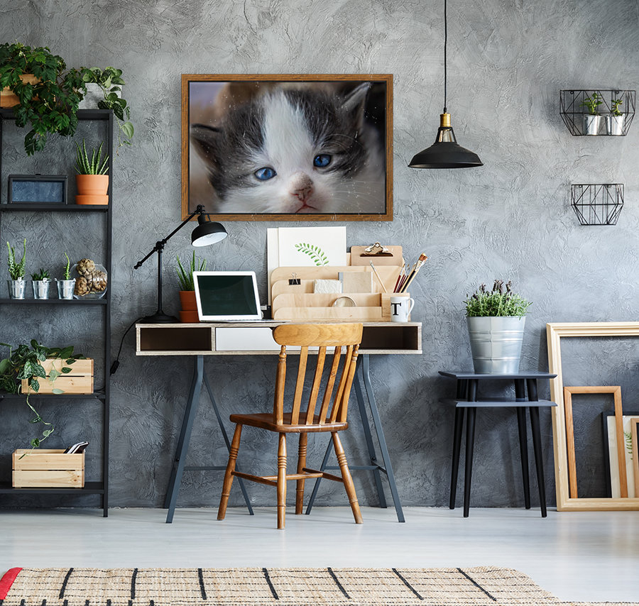 Kitten Face Reproduction
