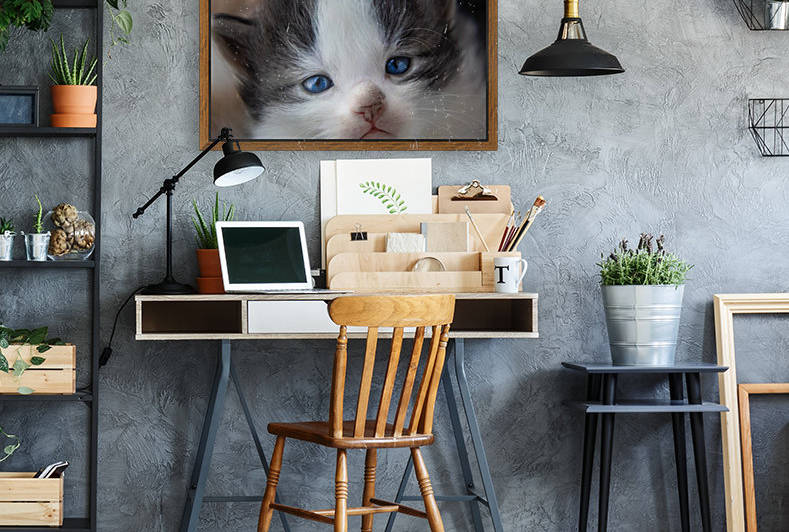 Kitten Face by Jonathan Ross