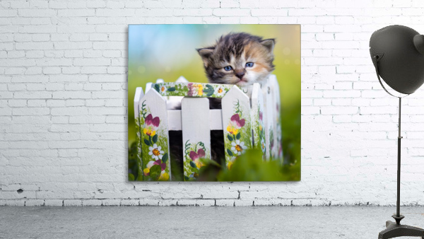 Kitten in basket Wall Preview