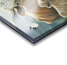 Peace In The Pasture Acrylic print