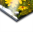 Daisy Acrylic print