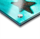 starfish2 Acrylic print