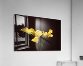 Yellow lilies Acrylic Print