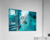 Speed Acrylic Print