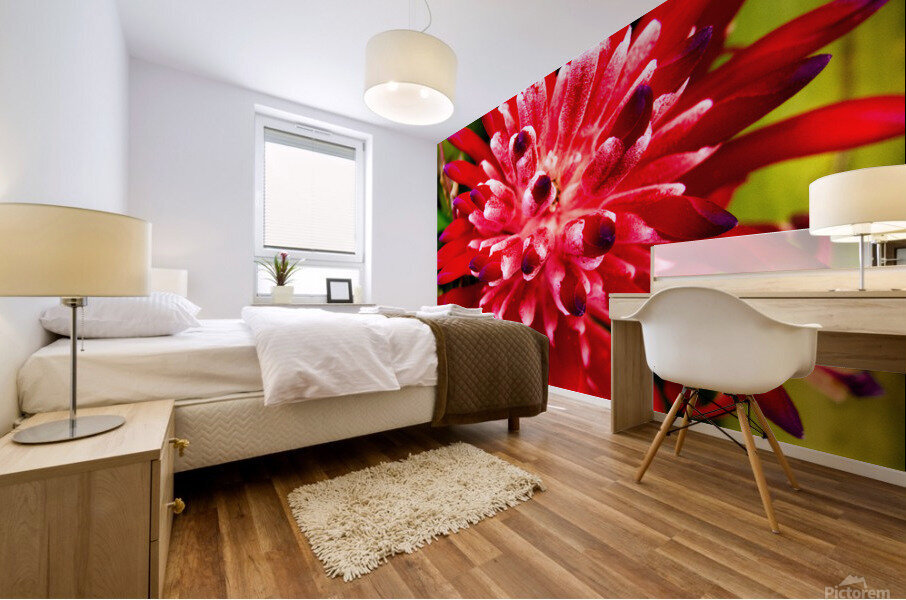 Bromiliad Mural print