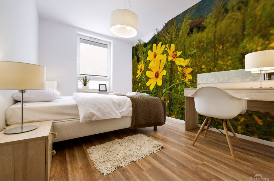 Daisy Mural print