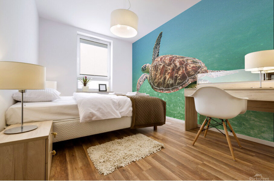 Green Sea Turtle Mural print