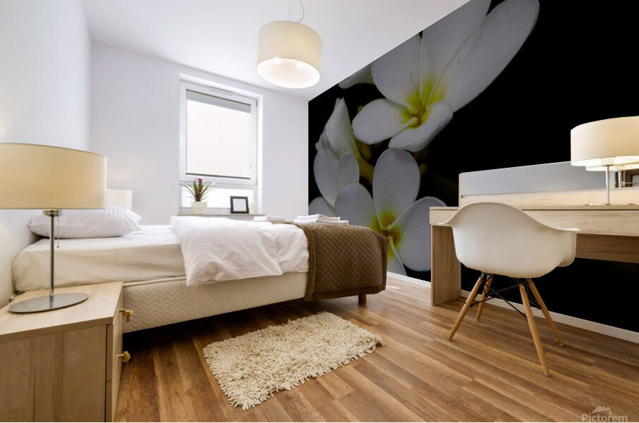Plumeria Mural print