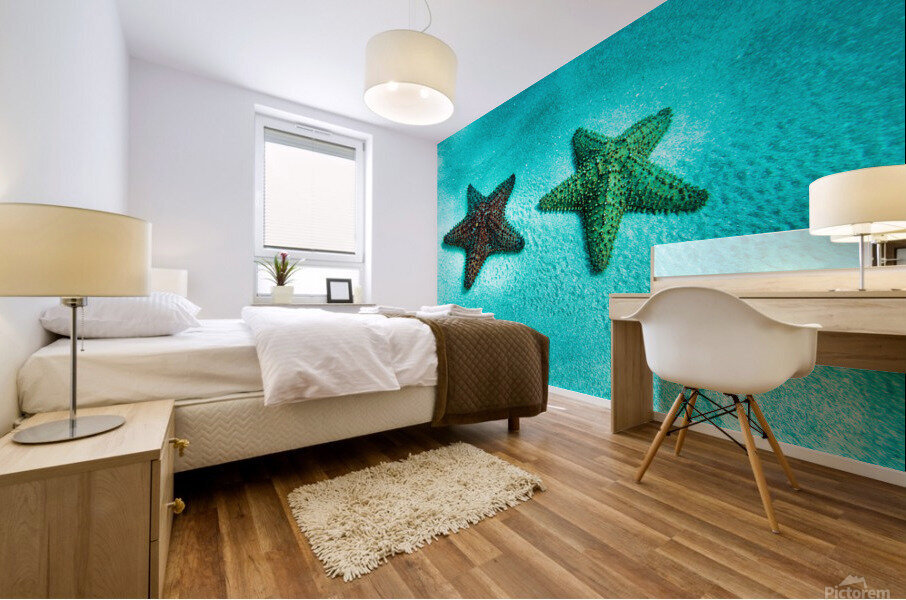 starfish2 Mural print