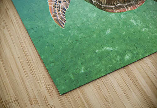 Green Sea Turtle Dennis Tonge Photography puzzle